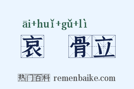 哀毀骨立是什么意思的图片